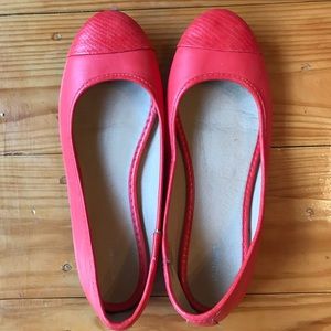 Coral flats